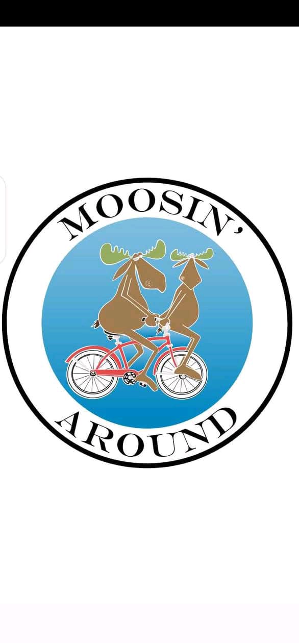 professional Logo design for cabin owners